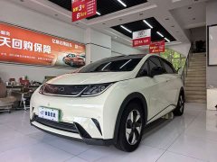 BYD Dolphin Glory Edition 420km Fashion Version - ფოტო 1