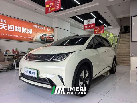 2024 BYD Dolphin Glory Edition 420km Fashion Version - ავტომობილი ჩინეთიდან