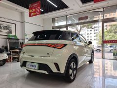 BYD Dolphin Glory Edition 420km Fashion Version - ფოტო 11