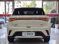 BYD Dolphin Glory Edition 420km Fashion Version - ფოტო 13