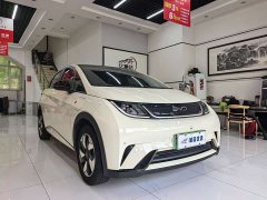 BYD Dolphin Glory Edition 420km Fashion Version - ფოტო 2