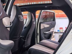 BYD Dolphin Glory Edition 420km Fashion Version - ფოტო 4