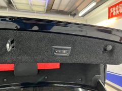 BMW 3 Series Facelift 325Li M Sport Night Edition Package - ფოტო 8