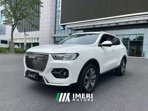 2021 Haval H6 1.5T Automatic Champion Edition - ავტომობილი ჩინეთიდან