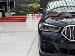 BMW X6 2022 Facelift xDrive40i M Sport Package - ფოტო 5