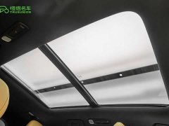 Li Auto ONE Extended Range 6-Seater - ფოტო 19