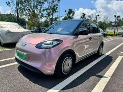 Wuling Binguo 333km Joy Edition - ფოტო 1