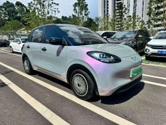 Wuling Binguo 333km Joy Edition - ფოტო 3