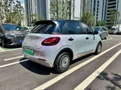 Wuling Binguo 333km Joy Edition - ფოტო 7