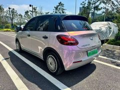 Wuling Binguo 333km Joy Edition - ფოტო 9