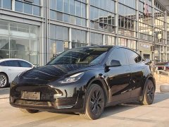 Tesla Model Y Rear-Wheel Drive - ფოტო 1