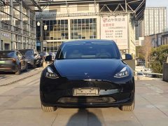 Tesla Model Y Rear-Wheel Drive - ფოტო 2