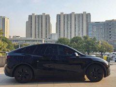Tesla Model Y Rear-Wheel Drive - ფოტო 3