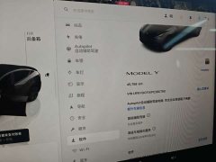 Tesla Model Y Rear-Wheel Drive - ფოტო 8