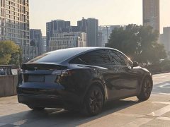 Tesla Model Y Rear-Wheel Drive - ფოტო 9