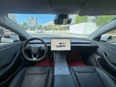 Tesla Model 3 2023 Rear-Wheel Drive - ფოტო 10