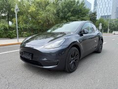 Tesla Model Y Long Range All-Wheel Drive - ფოტო 1