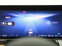 Buick GL8 New Energy Lusang Respect Edition - ფოტო 14