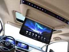 Buick GL8 New Energy Lusang Respect Edition - ფოტო 16