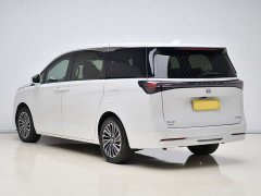 Buick GL8 New Energy Lusang Respect Edition - ფოტო 3