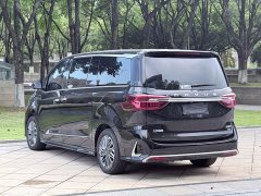 Maxus G20 PLUS 2.0T Petrol Automatic Luxury Executive Edition - ფოტო 15