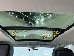 Volkswagen Magotan 2 Million Units Commemorative Edition 280TSI DSG Leading Type - ფოტო 14