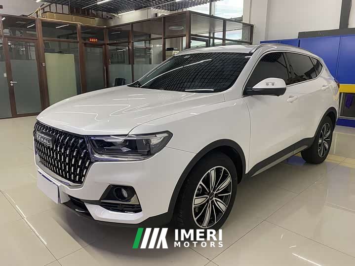 Haval H6 National Trend Edition 1.5T Automatic Champion Version - ავტომობილი ჩინეთიდან