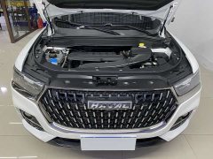 Haval H6 National Trend Edition 1.5T Automatic Champion Version - ფოტო 19