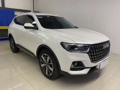 Haval H6 National Trend Edition 1.5T Automatic Champion Version - ფოტო 3