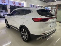 Haval H6 National Trend Edition 1.5T Automatic Champion Version - ფოტო 6