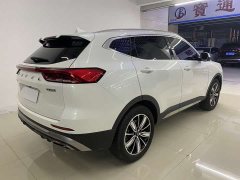 Haval H6 National Trend Edition 1.5T Automatic Champion Version - ფოტო 8