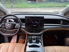 Denza BYD Denza D9 DM-i 980 Four-Wheel Drive Premium - ფოტო 5