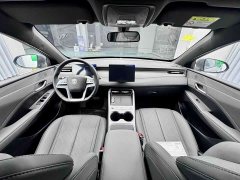 BYD Qin PLUS DM-i 128KM Entry-Level - ფოტო 11
