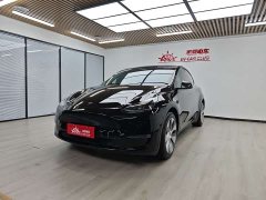 Tesla Model Y Long Range All-Wheel Drive - ფოტო 1