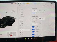 Tesla Model Y Long Range All-Wheel Drive - ფოტო 17
