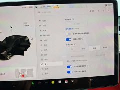 Tesla Model Y Long Range All-Wheel Drive - ფოტო 18