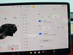 Tesla Model Y Long Range All-Wheel Drive - ფოტო 19