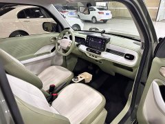 Geely Panda 2025 210km Panda Knight - ფოტო 6