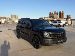 Haval Cool Dog 1.5T DCT FWD Trendy Edition - ფოტო 3