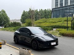 Tesla Model Y Rear-Wheel Drive - ფოტო 3