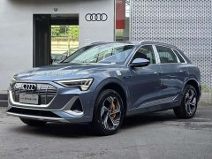 Audi e-tron 2021 50 quattro Premium - ფოტო 1