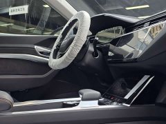 Audi e-tron 2021 50 quattro Premium - ფოტო 12