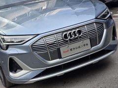 Audi e-tron 2021 50 quattro Premium - ფოტო 4