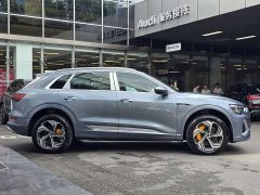 Audi e-tron 2021 50 quattro Premium - ფოტო 5