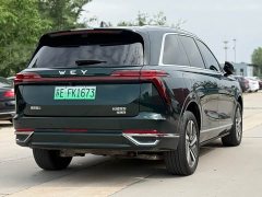 Great Wall WEY Blue Mountain 2025 Four-Wheel Drive Max - ფოტო 15