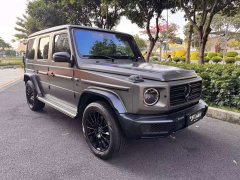 Mercedes-Benz G-Class G 500 - ფოტო 1