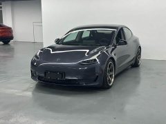 Tesla Model 3 Performance All-Wheel Drive - ფოტო 1
