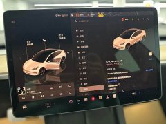Tesla Model 3 Performance All-Wheel Drive - ფოტო 7
