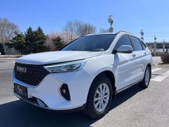 Haval M6 PLUS 1.5T DCT Elite Smart Connected Edition - ფოტო 1