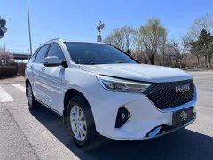 Haval M6 PLUS 1.5T DCT Elite Smart Connected Edition - ფოტო 3